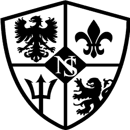 Logo NS Conseils